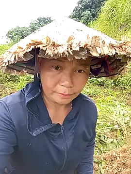 tuyet-nhi live