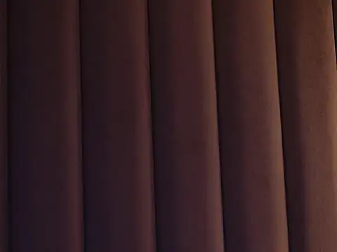 MissMeFoxy live