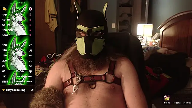 kinkywolf429 live