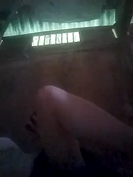 Seiciz live