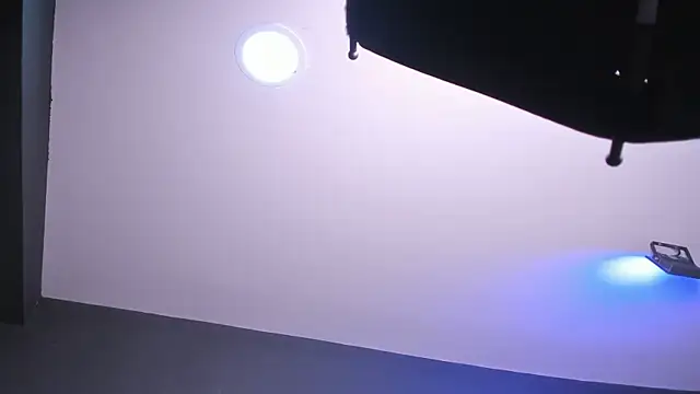 Amy_whittee live