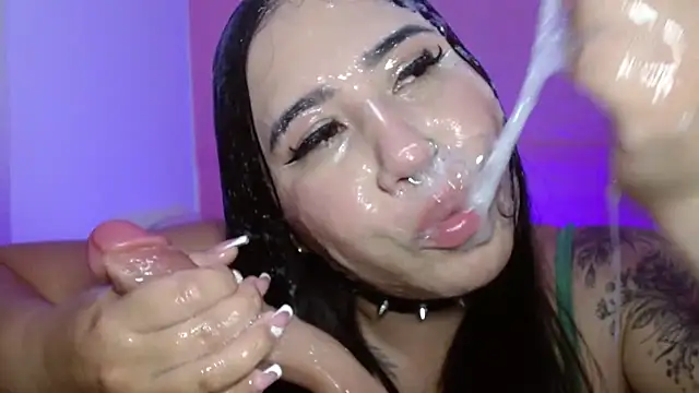 _hooly live