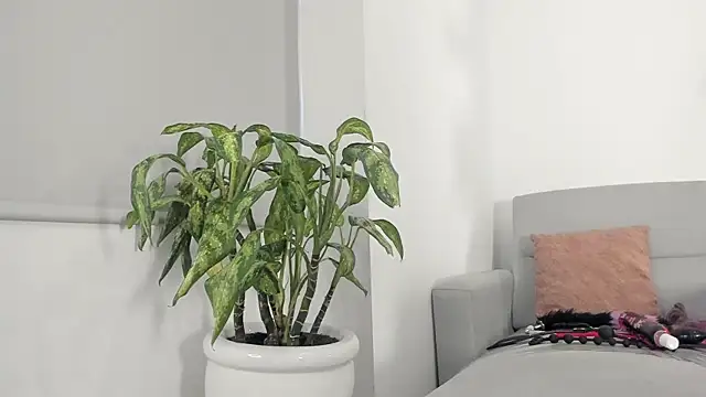 MindyDollSquirt live