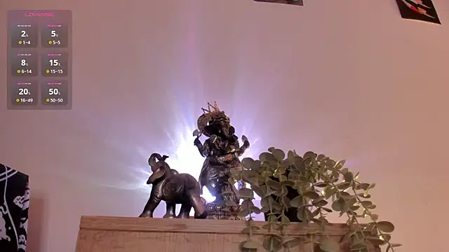 PawgGirl18 live