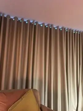 Zandrina live