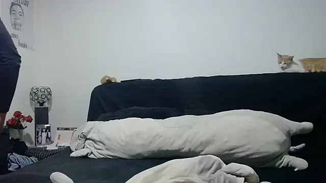 viccky_vick live