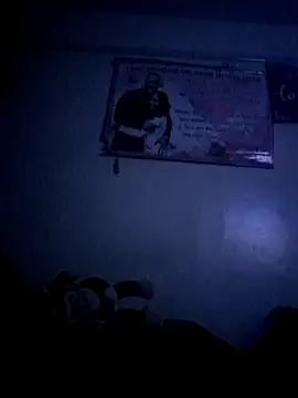 meshje live