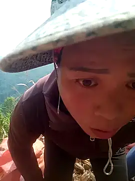 phuongtrinh1 live