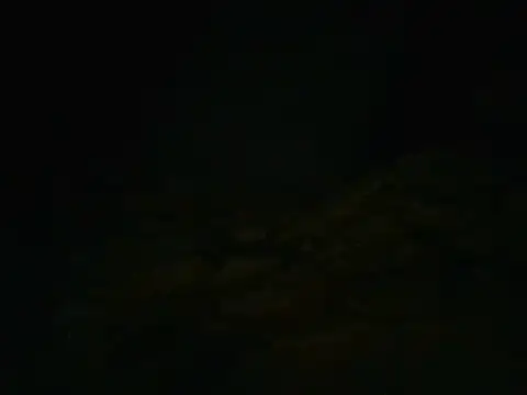 Applecute254 live