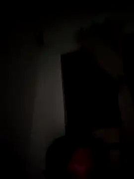 tripexnte live