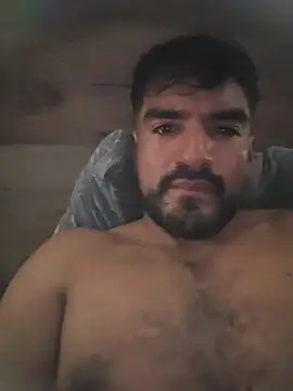 piggylatino live