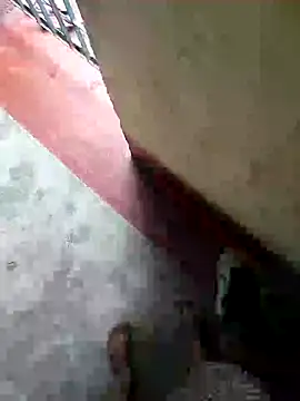 lambakooli live