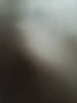 cusicat live
