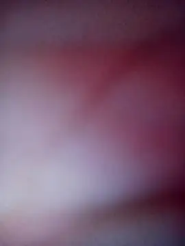 Ssbbccc live
