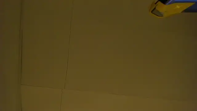 SkyCollins live