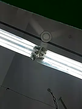 ProperCoach18 live