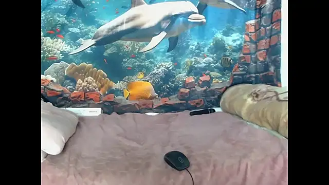 AfricanBarbiee69 live
