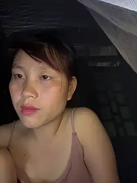 kekely live