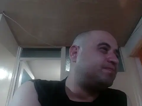 alphaswitchard live